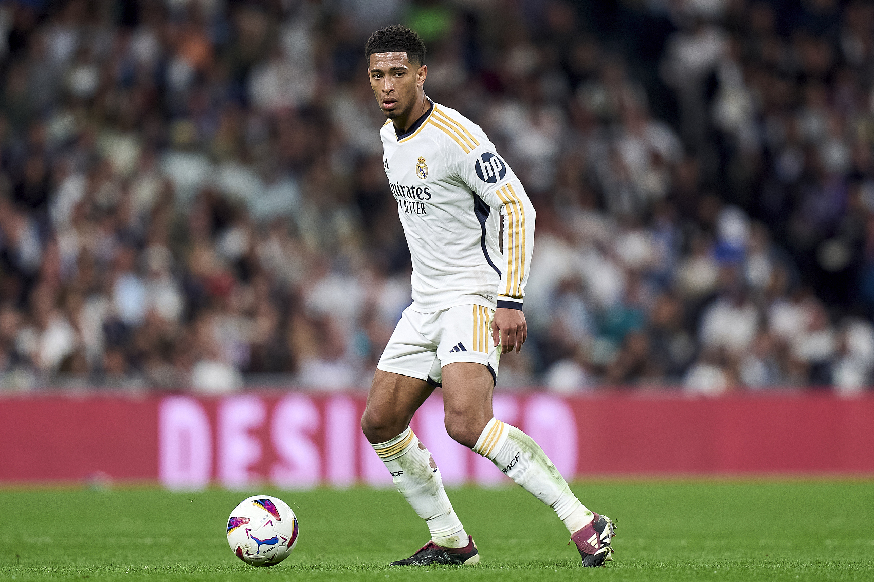 任是他留在 任是他留在