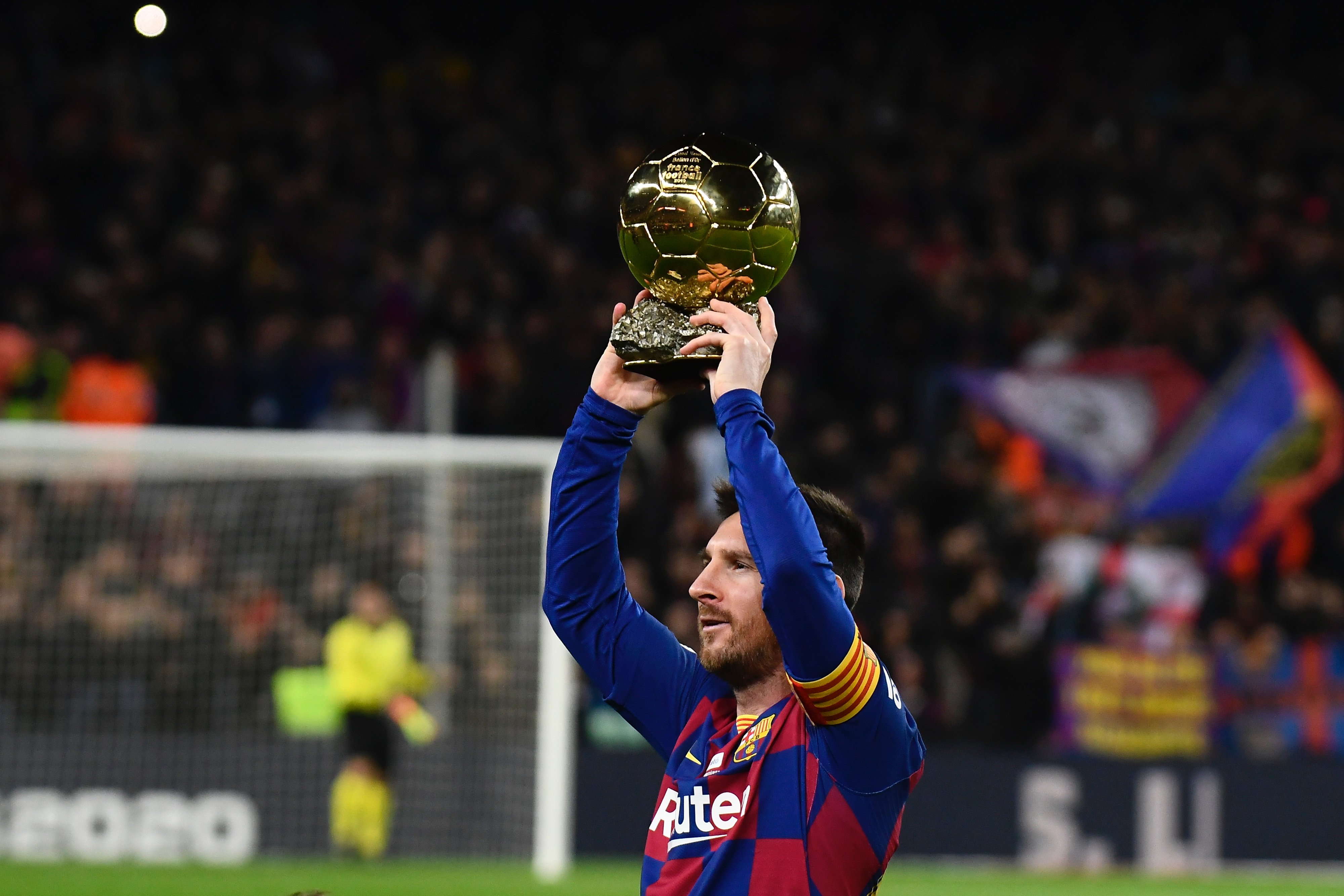 供了参考和 供了参考和