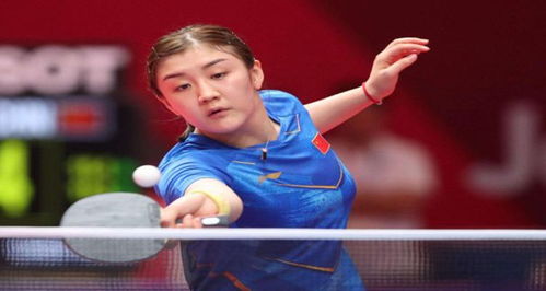 持续领跑的 持续领跑的